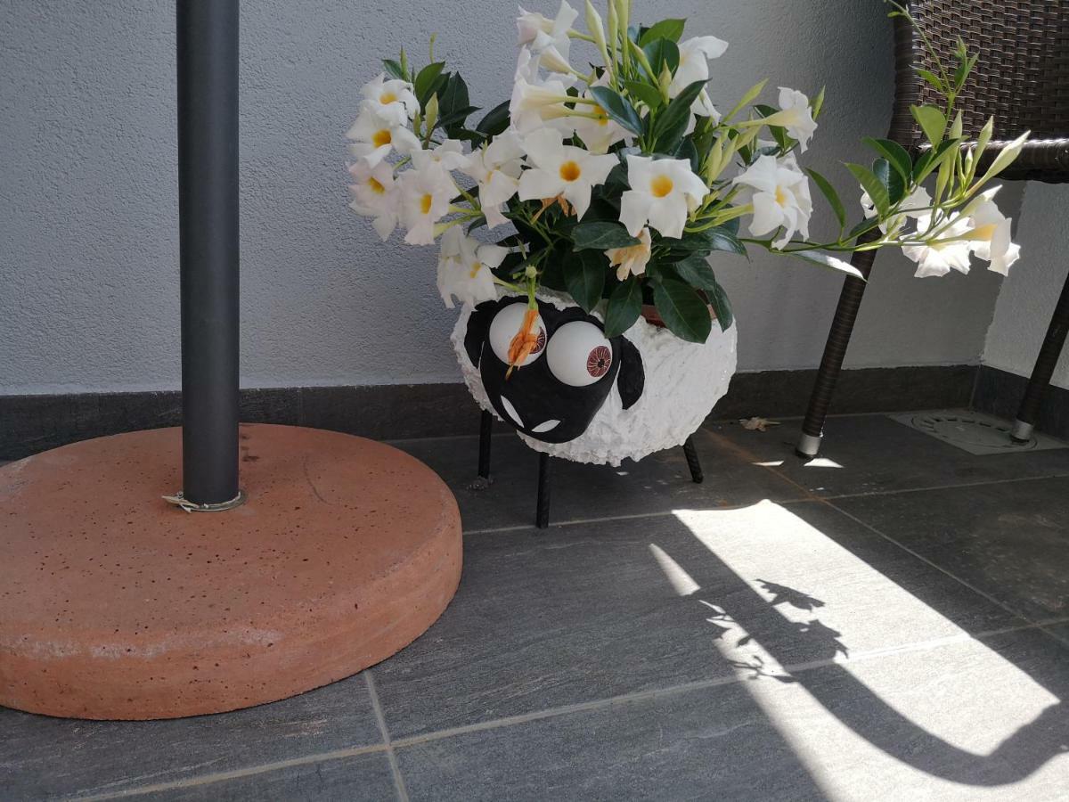 Apartman Abc Šibenik Exterior foto